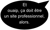 Et ouaip, ça doit être un site professionnel, alors.