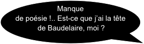 Manque de poésie !.. Est-ce que j’ai la tête de Baudelaire, moi ?