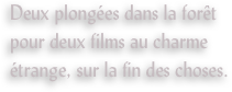 Deux plongées dans la forêt pour deux films au charme étrange, sur la fin des choses.