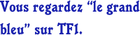 Vous regardez “le grand bleu” sur TF1.